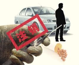 可以进行C1驾照的培训和报考